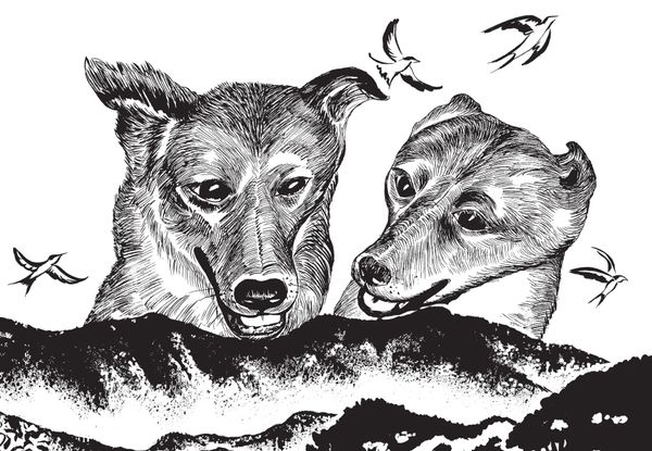 New Graphic Novel Tackles Thorny Questions Around Animal Cruelty