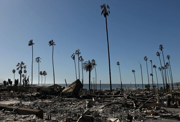 Art Orgs Launch $12M Fund for LA Artists Affected by Fires