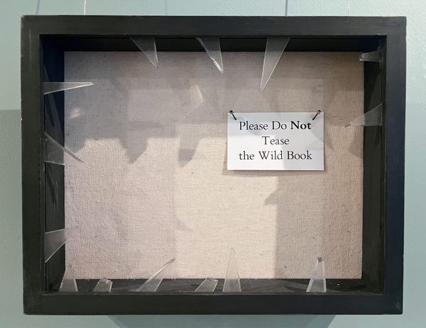 An Exhibition of Non-Existent Books