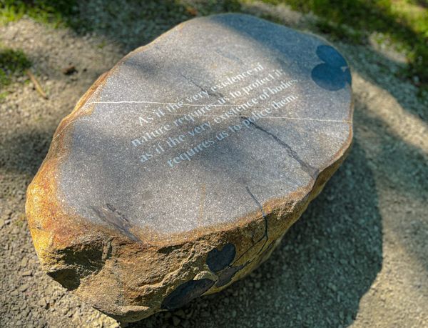 Why I Refuse to Make Art for Prisons