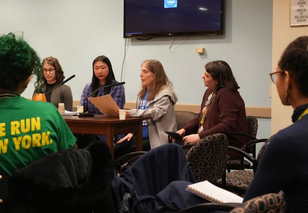 “Exhaust All Options”: City Council Holds Hearing on Brooklyn Museum Layoffs