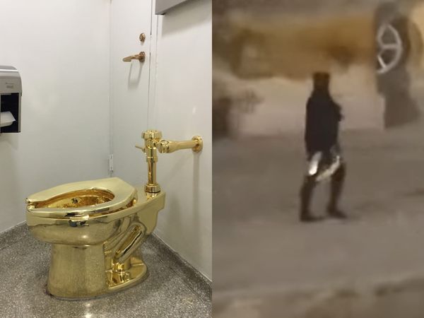 Newly Released Footage Shows Theft of 18-Karat Golden Toilet