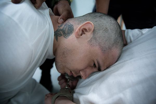 Venezuelan Migrants Allegedly Labeled as Gang Members Based on Tattoos