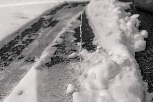 Judy Linn Casts a Solitary Eye on the World