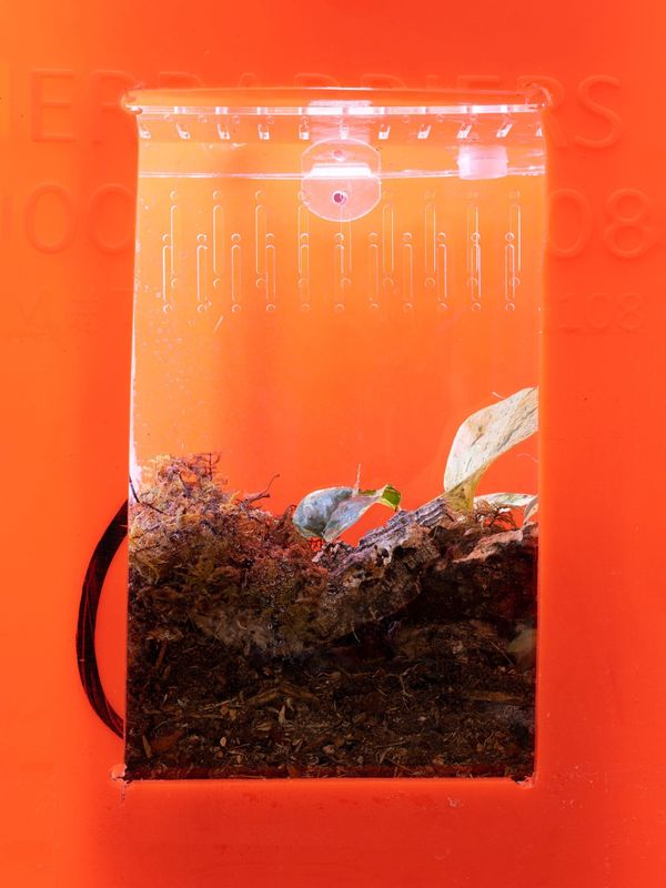 When Our Containers Can't Hold Us