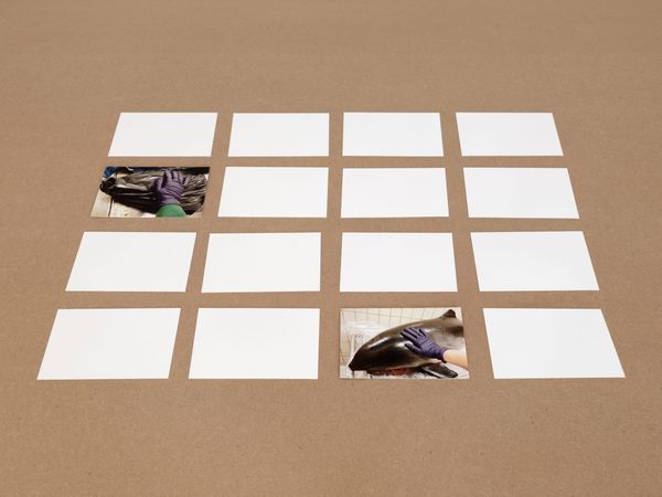 Patty Chang Looks Into the Abyss