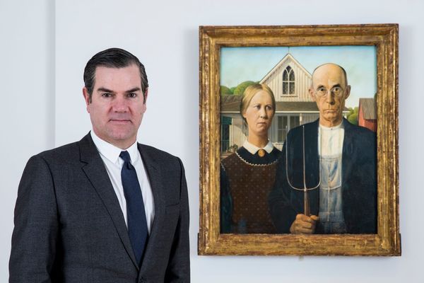 Art Institute of Chicago President on Leave After Stripping on Plane