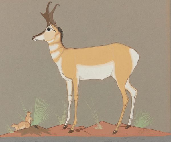 What to See in Upstate New York This May