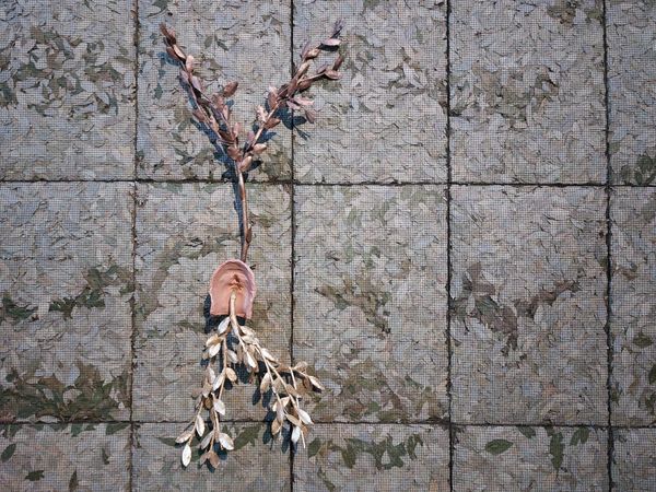 Giuseppe Penone Captures the Breath of the World