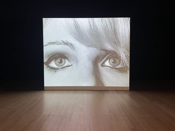 A Massive Diane Arbus Exhibition Does So Little