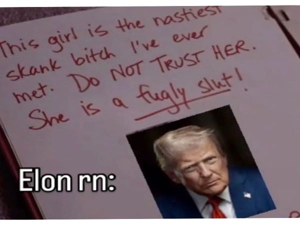 A Trump-Musk Feud That’s Ripe for the Meme-ing