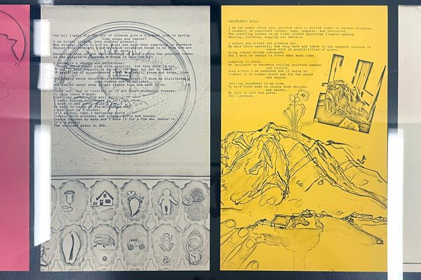 Barbara T. Smith’s Experiments in Xerox