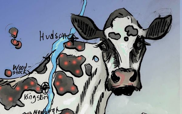 Art Comes Naturally in Upstate New York