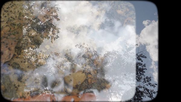 Hyperallergic Fall 2025 New York Art Guide