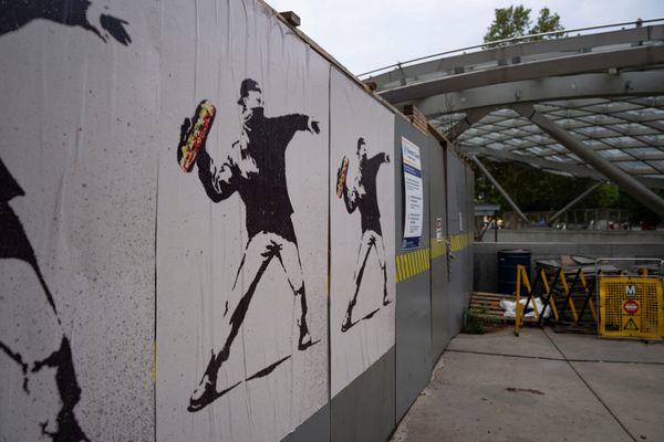 Sub-versive DC Protester Becomes Memeorable