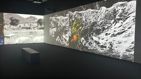 Caribbean Artists Take on the Myth of Tropical Escapism