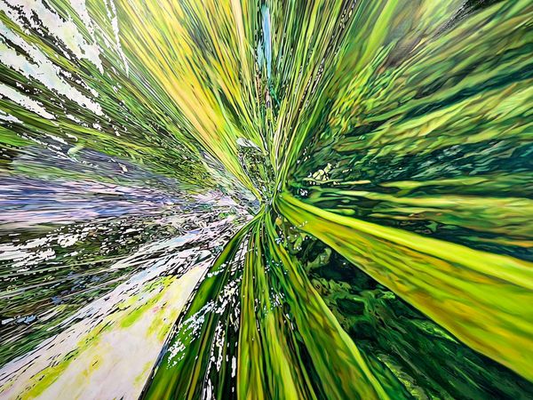 Jin Meyerson’s Orbits of Belonging