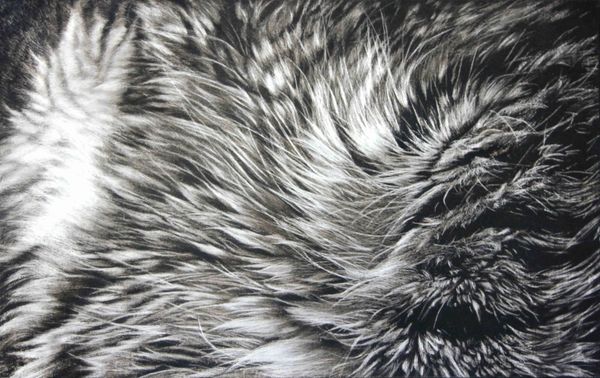 A Sprrrawling Exhibition of Cat-Themed Meowsterpieces