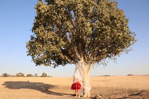 A Palestinian Artist’s Final Exhibition in His Homeland