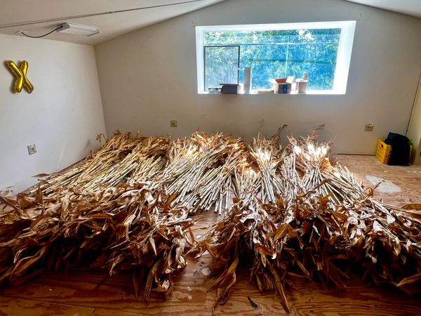 A View From the Easel