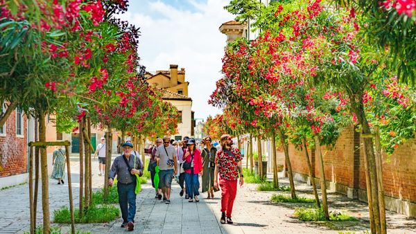 IDSVA Students Travel the World With Residencies in Venice, Marrakech, and New York City