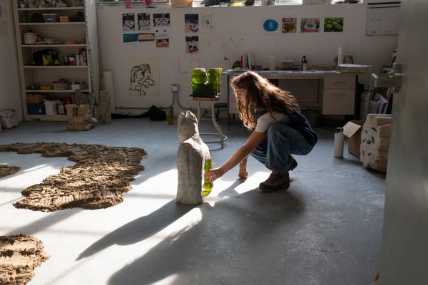 Transform Your Art Practice at UC Davis: The Maria Manetti Shrem Art Studio MFA Program