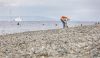 Volunteer Deborah Woolley of Seattle collects marine trash in an area designated for the Escaped Trash Assessment Protocol