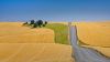 A dirt road in Whitman County, Washington.