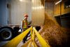 A worker unloads a truckload of biomass at the University of British Columbia energy plant.