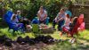 Kryssi and Henry Dill, foster parents in Bremerton, plan family events on Monday, April 20, 2020 in the backyard of their