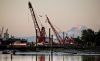 Efforts are underway to restore environmental  habitat on the Duwamish River, a heavily contamined urban river in Seattle,