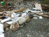 The owners of this Vashon Island property are under investigation by King County for armoring the beachfront by installing