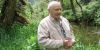 Family Forests