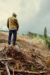 Looking over a clearcut in Lane County