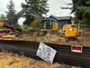 Developers’ tree-cutting pace surges under contested Seattle tree protection ordinance