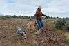 The Trump Administration’s Critical Minerals Agenda Comes for America’s ‘Forgotten Wildlife Corridor’
