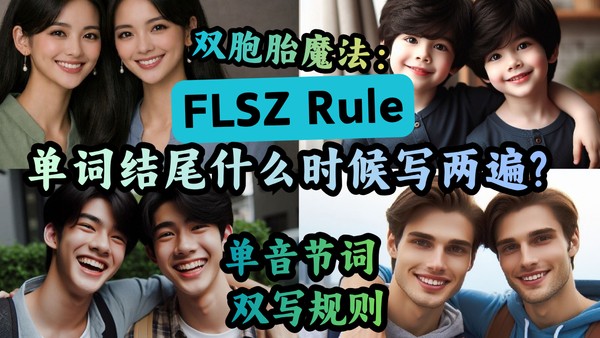 FLSZ Rule 双写规则 收藏版