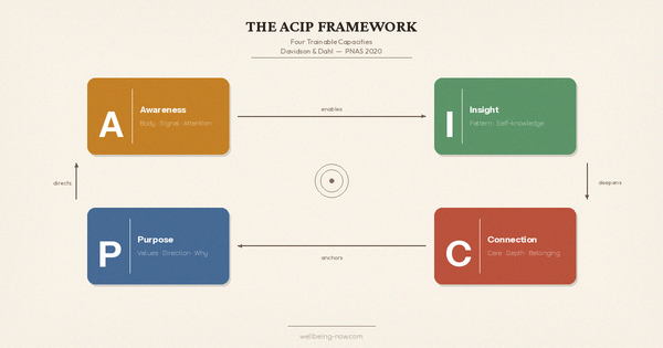 The Four Capacities That Change Everything After Fifty