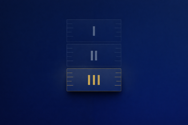 "Going Pro" in Business Aviation