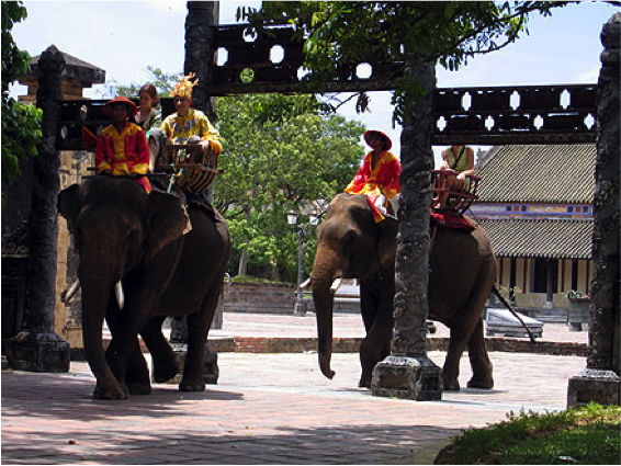 Promenez vous à dos d’éléphant ! Ballades à dos d'elephant au Vietnam