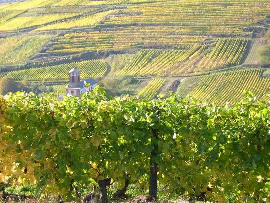 Exchange your home with HomeExchange to stay for free in Bordeaux Bordeaux Vineyards