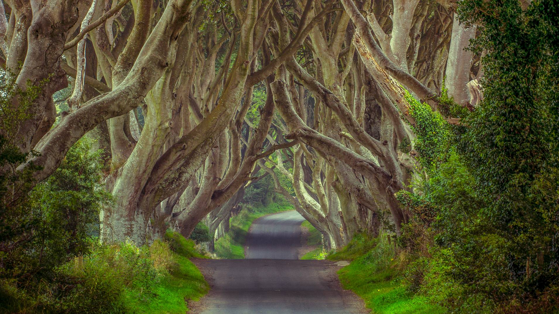 HomeExchange is the social network that makes travelling for free easy GuestToGuest, traveling, sharing economy, fairytale locations, dark hedges