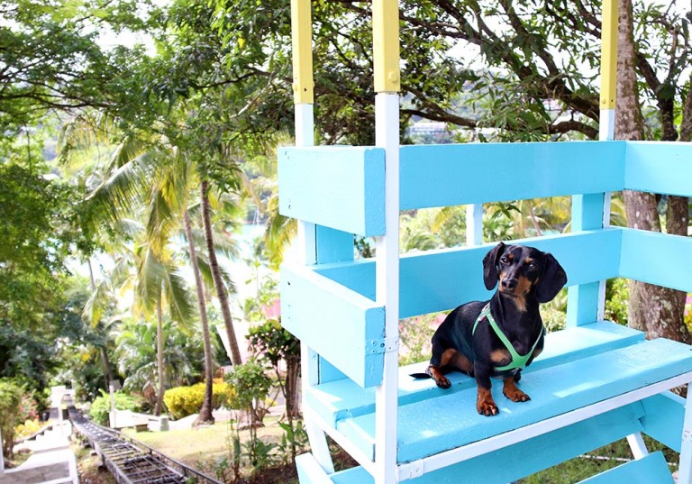 crusoe-at-oasis-marigot-home-exchange