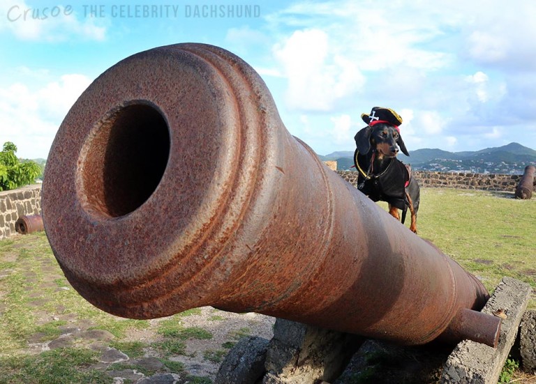 crusoe-canon-home-exchange