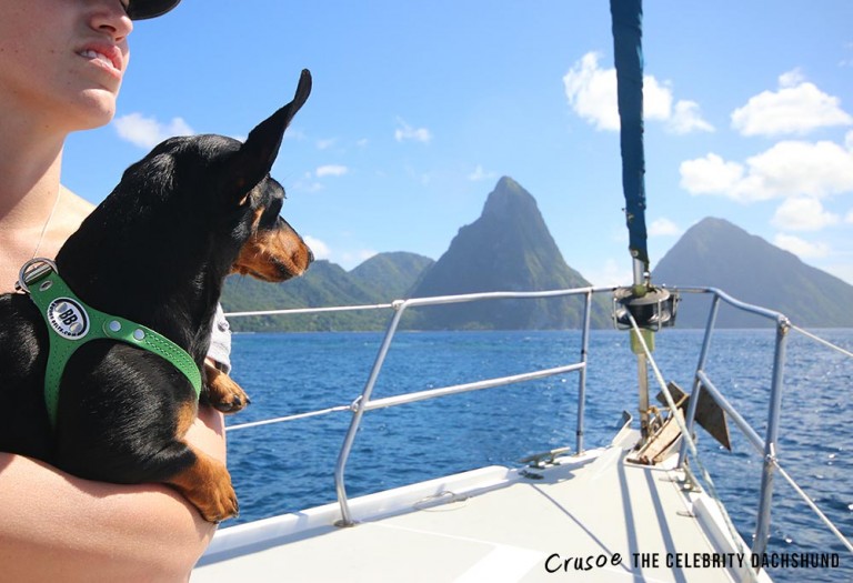 day-sail-tour-st-lucia-home-exchange