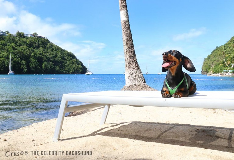 marigot-bay-st-lucia-home-exchange