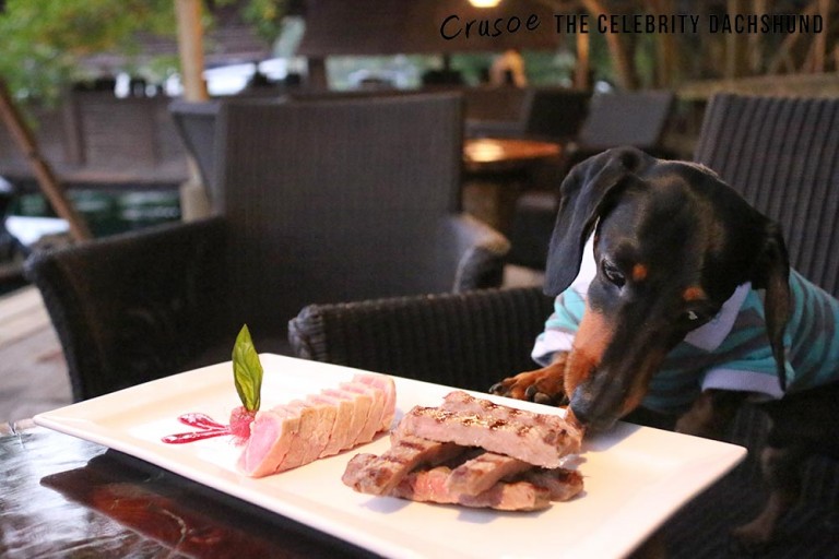 rainforest-hideaway-marigot-bay-home-exchange