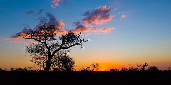 comm609_nightsky_africa