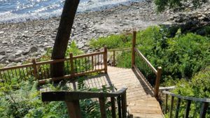 Judith's home exchange backyard