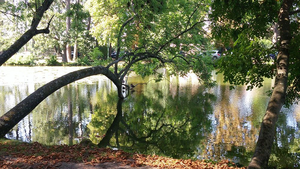 HomeExchange members vacation in France